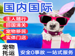 包头东河航空快递国际宠物托运 【国